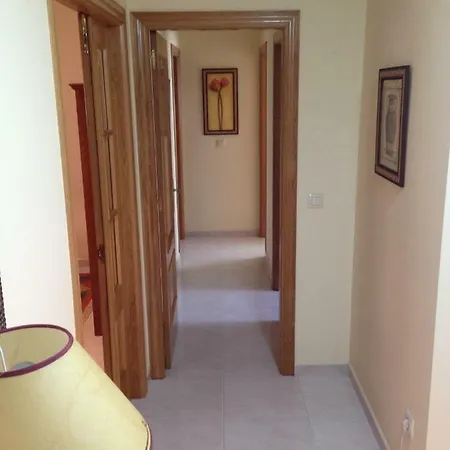 L&c Codesal סנשנשו