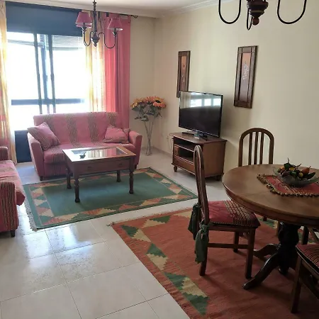 L&c Codesal סנשנשו